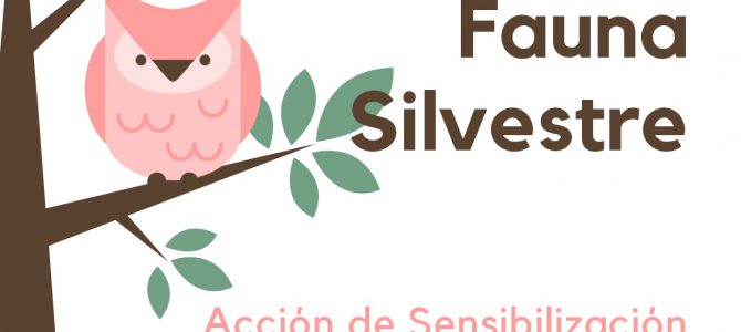 REINTEGRACIÓN AL MEDIO NATURAL DE FAUNA SILVESTRE